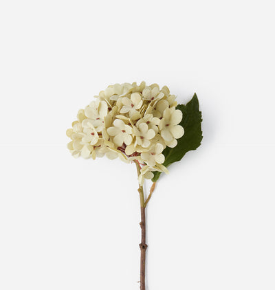 An artificial single-stem hydrangea with pale cream-colored flowers and a green leaf on a brown stem, set against a plain white background.
