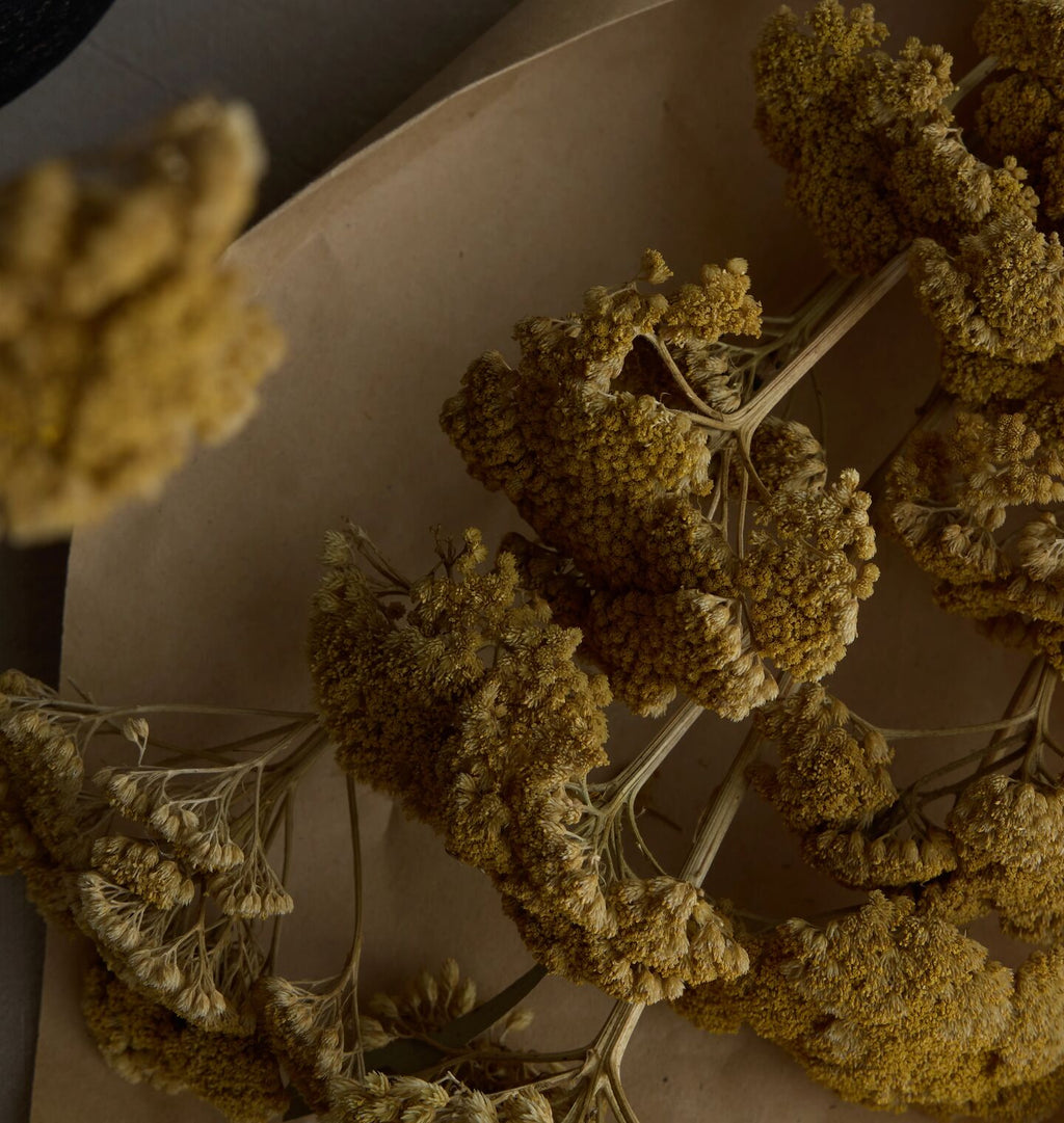 Dried Yarrow Bunch