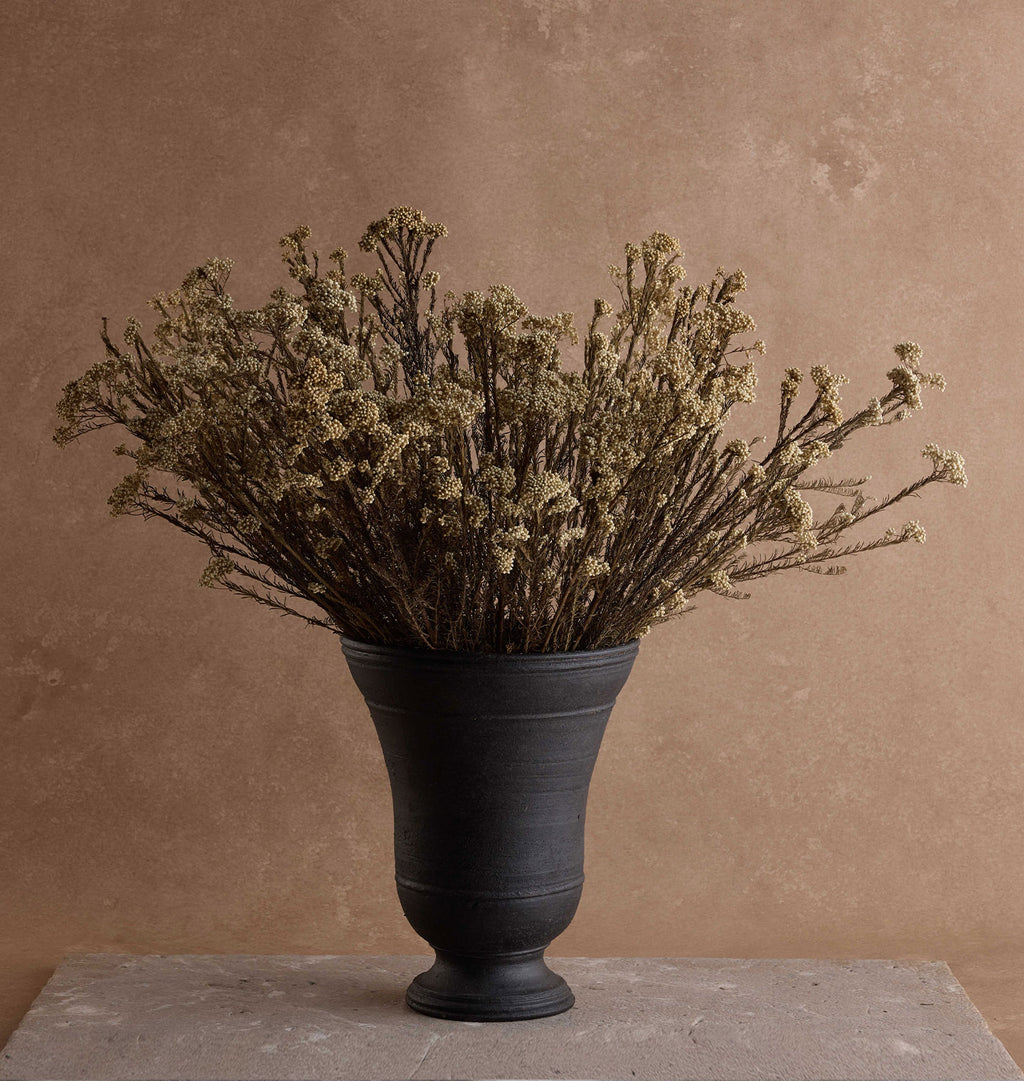 Dried Rice Flower Bunch