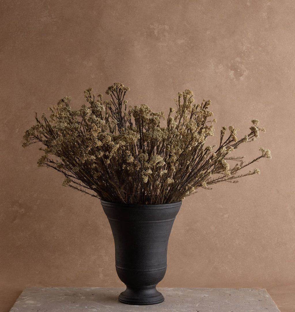Dried White Rice Flower Bundle in Large Bergen Vase
