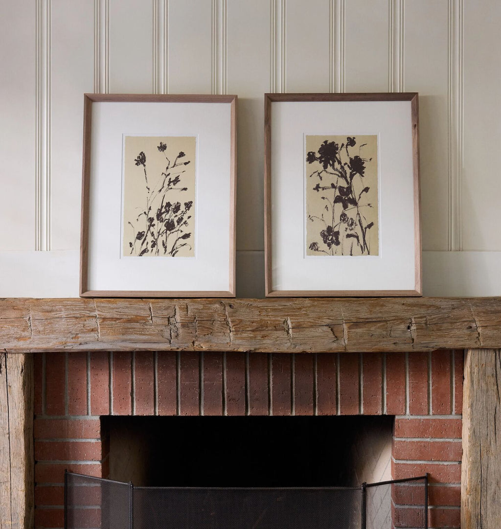 Meadow Rue Framed Print