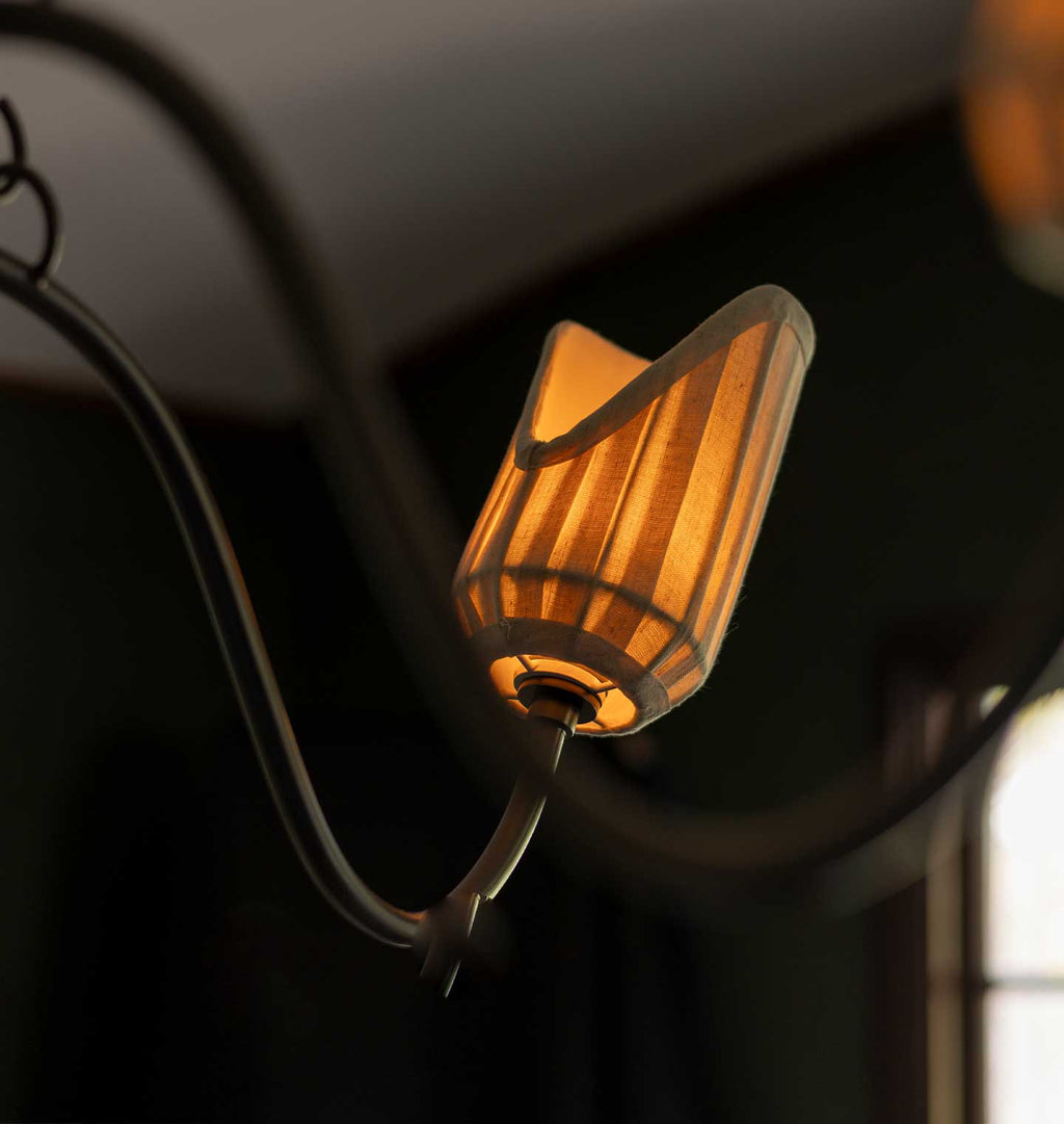 Rafa Chandelier