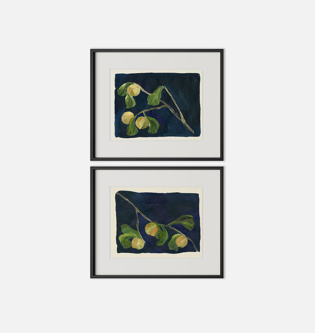 Apricot Diptych I by Brittney Schulz Maple
