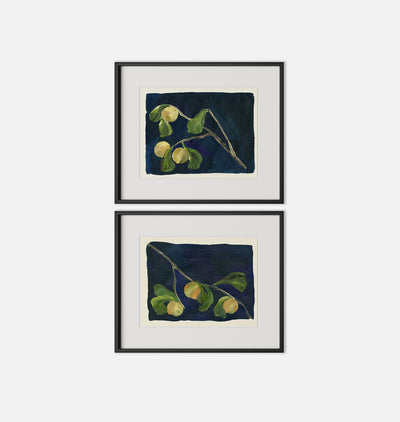 Apricot Diptych I by Brittney Schulz Maple