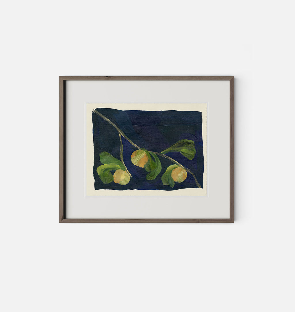 Apricot V by Brittney Schulz Walnut