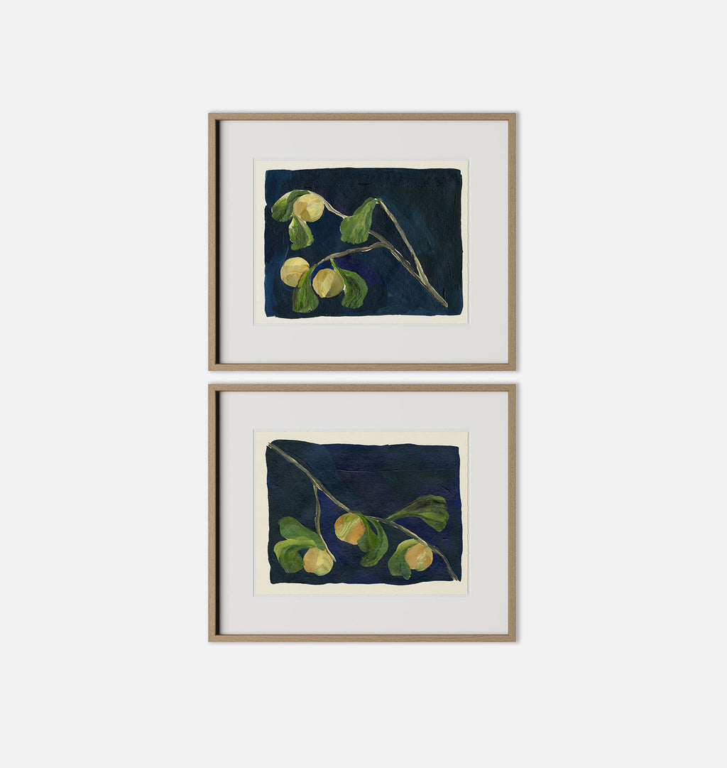 Apricot Diptych I by Brittney Schulz White Oak