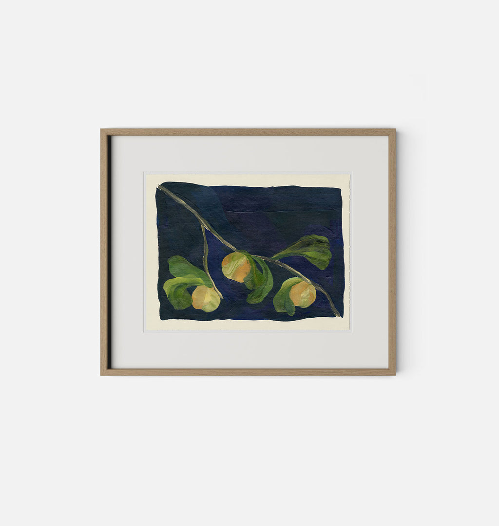 Apricot V by Brittney Schulz White Oak