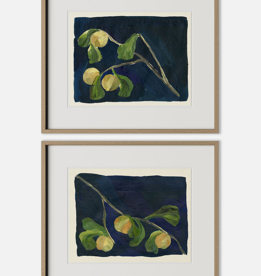 Apricot Diptych I Framed Print