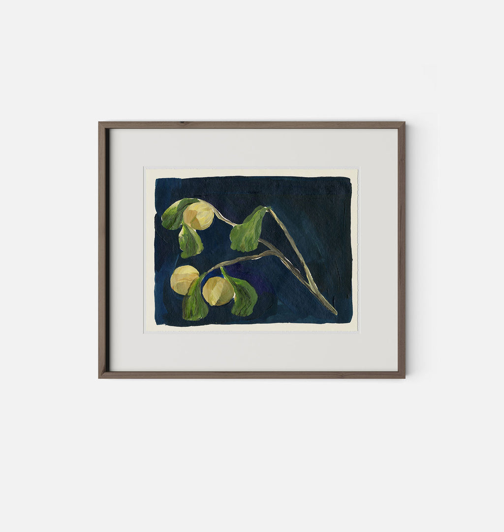 Apricot X by Brittney Schulz Walnut