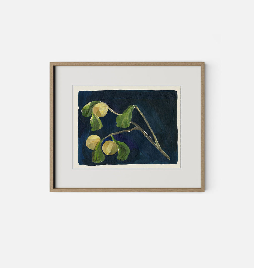 Apricot X by Brittney Schulz White Oak