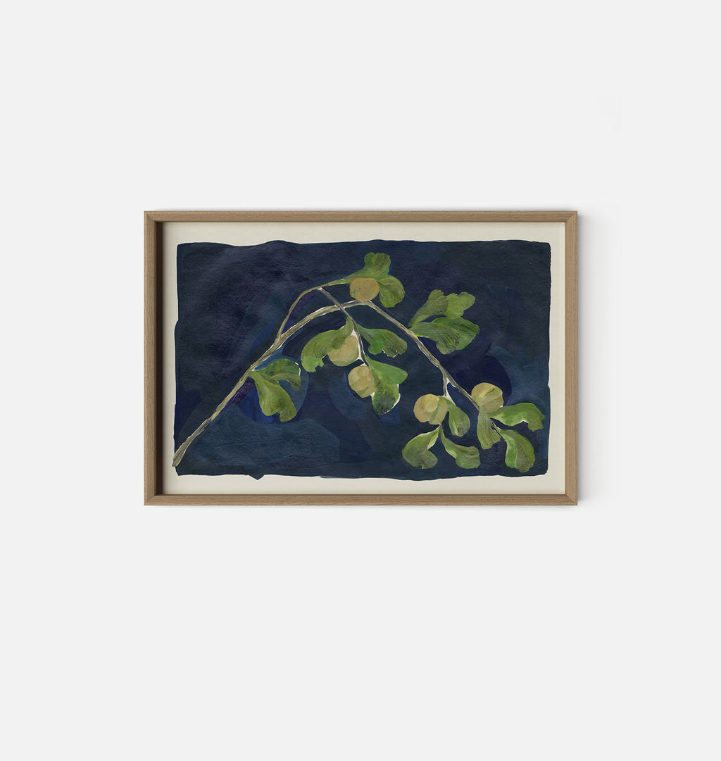 Apricot XII by Brittney Schulz White Oak