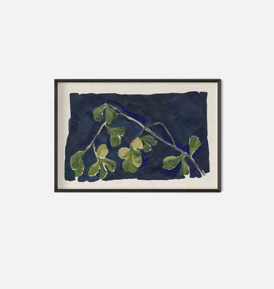 Apricot XIV Framed Print Black Pine