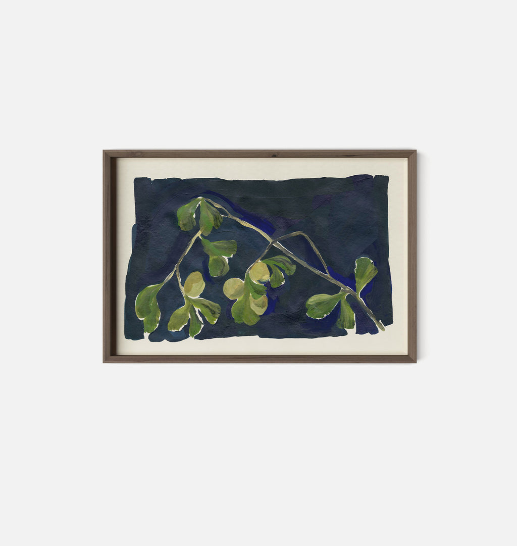 Apricot XIV Framed Print Walnut
