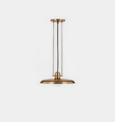 Aster Pendant Brass 16"