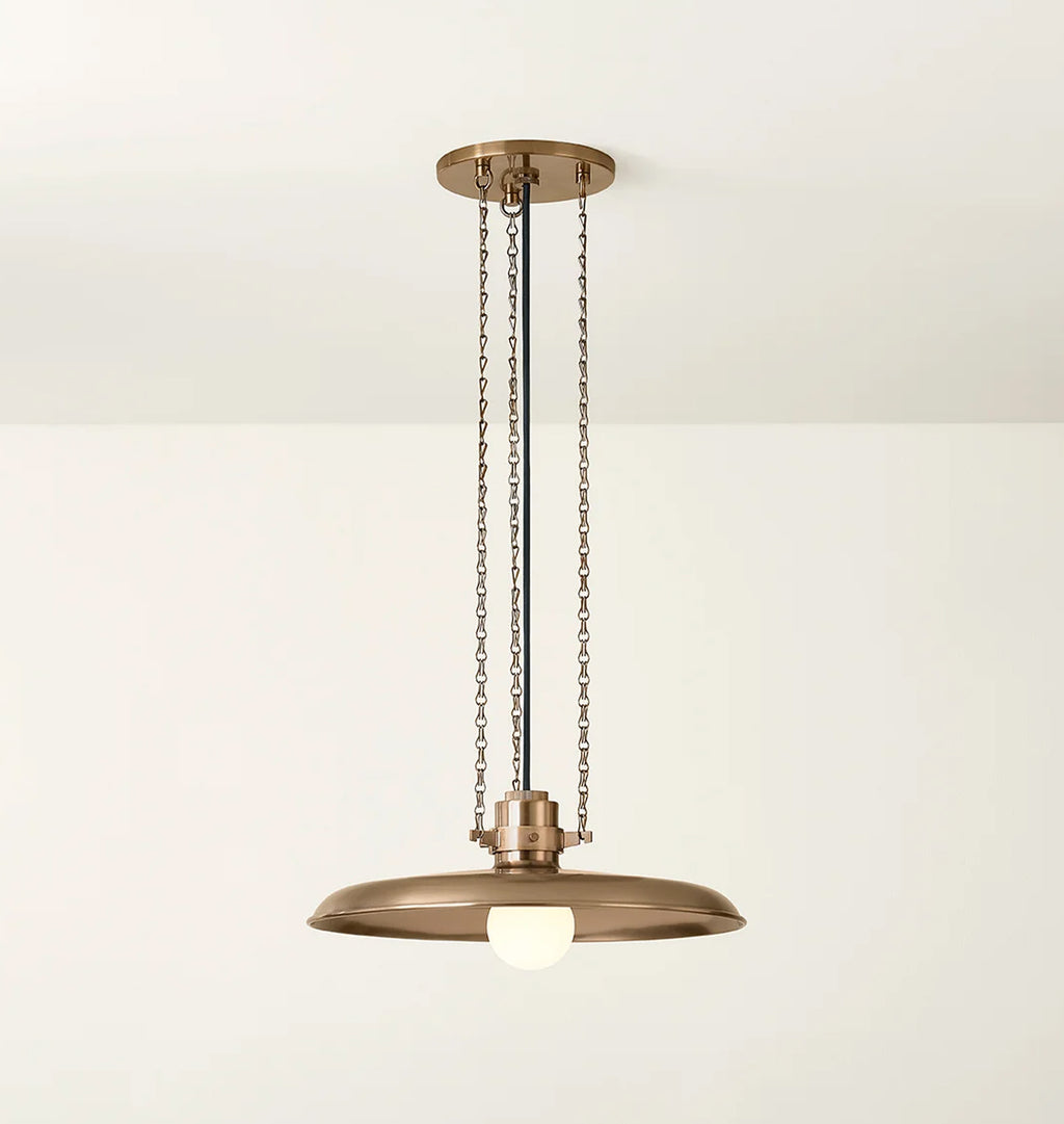 Aster Pendant Brass 16"