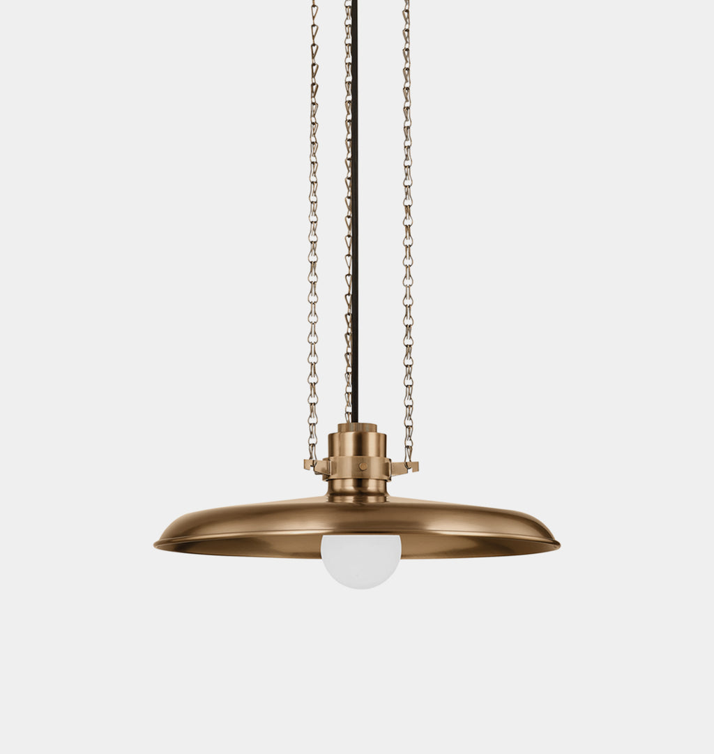 Aster Pendant Brass 16"
