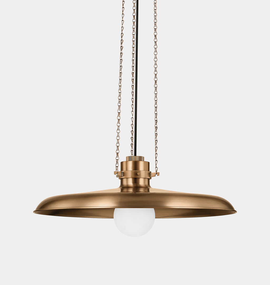 Aster Pendant Brass 24"