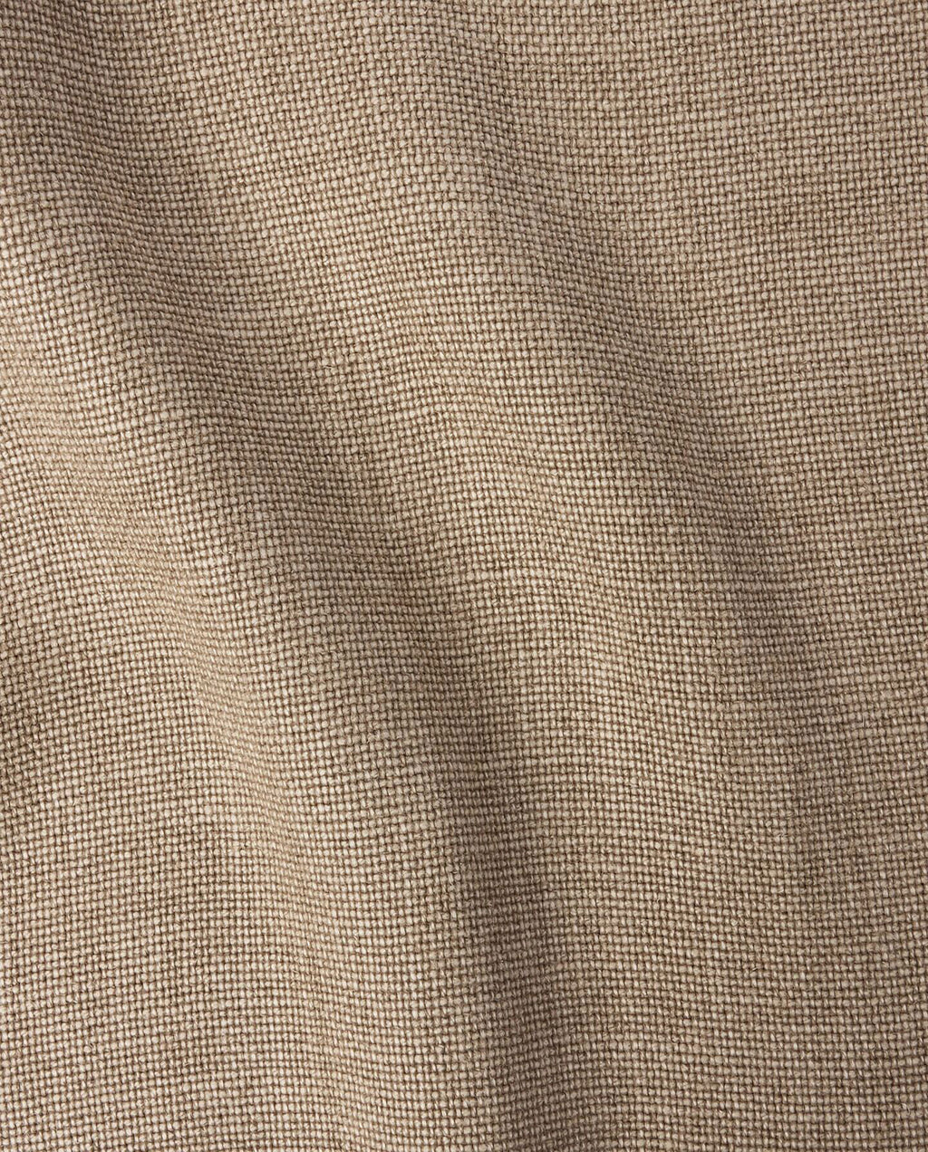 Barley Sample