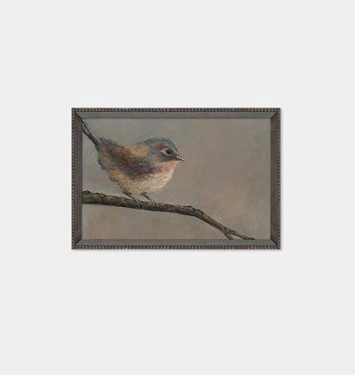 Birds by Lori Marie Framed Print