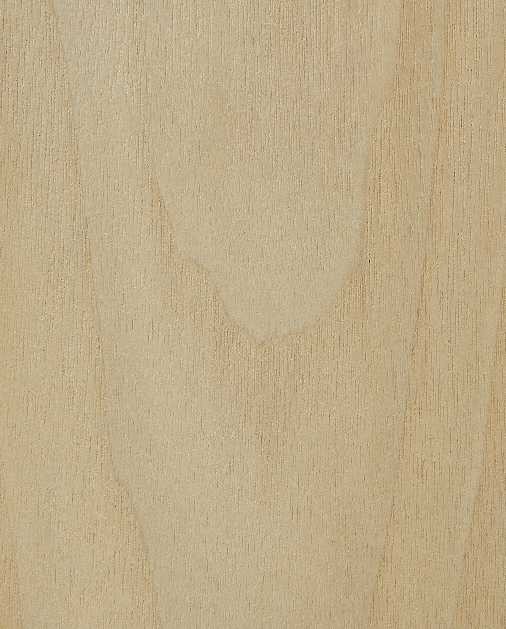 Bleached Walnut Sample