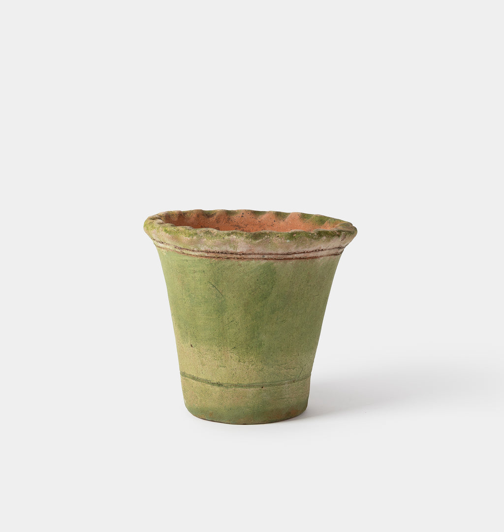 Green ceramic scalloped planter with brown rim on a white background