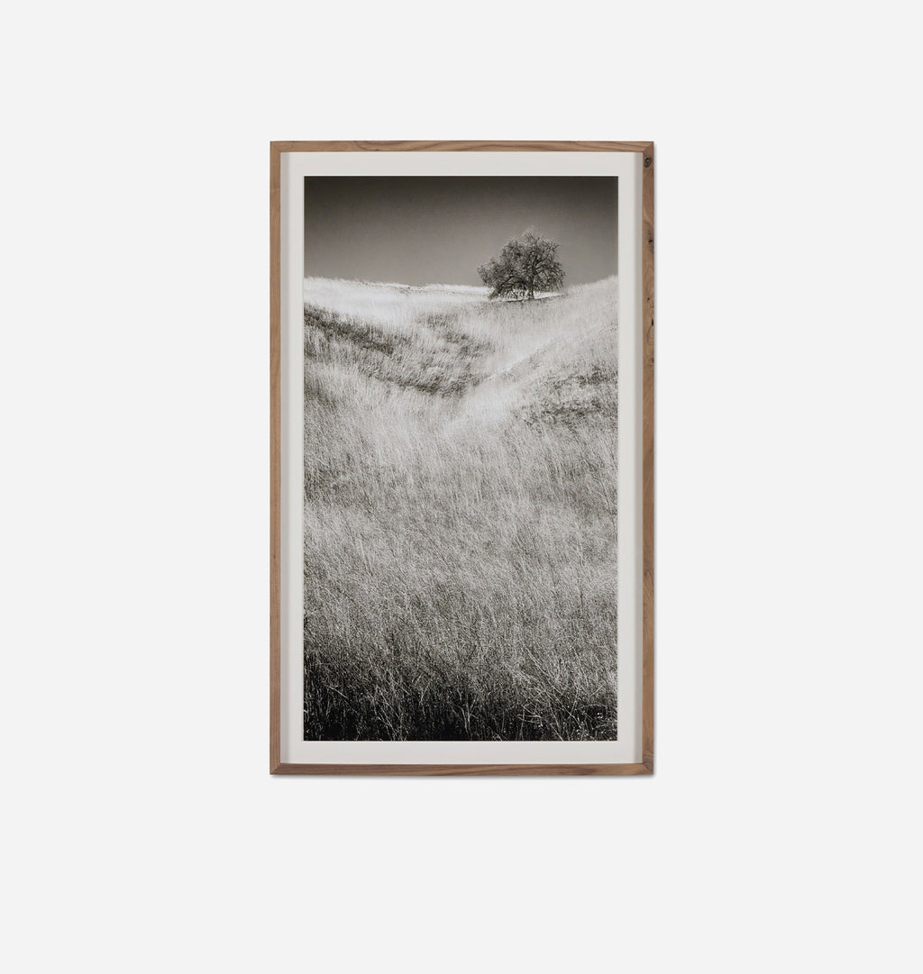 A framed black and white landscape photograph of rolling grassy hills and a lone tree, presented in a light wood frame with a white mat against a light gray background.