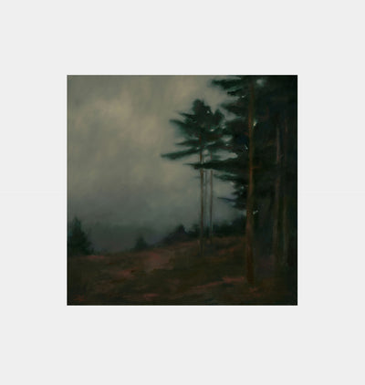 Charles' Woods Unframed Print