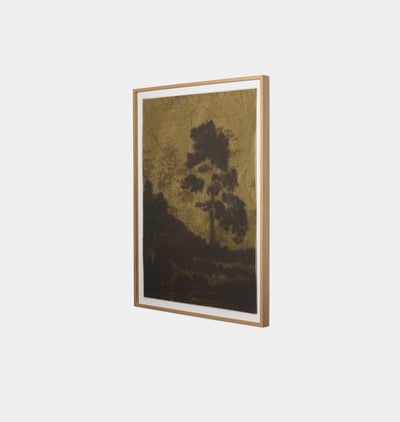 Dancing In Dusk by Chelsea Fly Framed Print