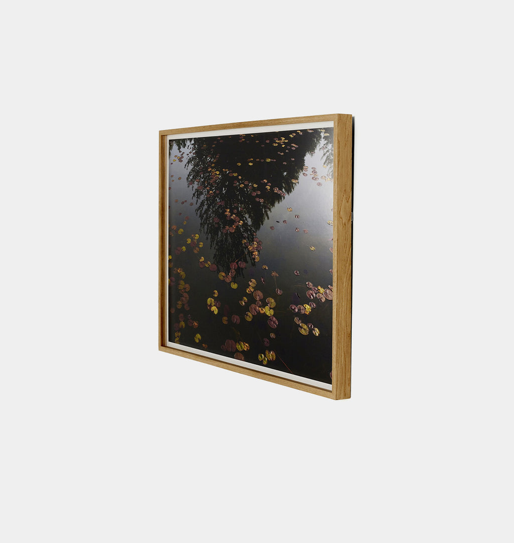 Echo by Shade Degges Framed Print