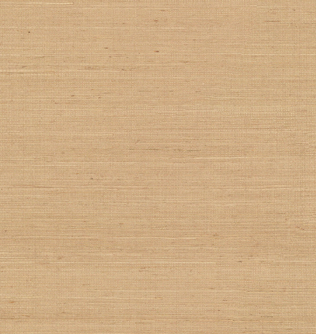 Field Grasscloth Wallpaper Brush Sample
