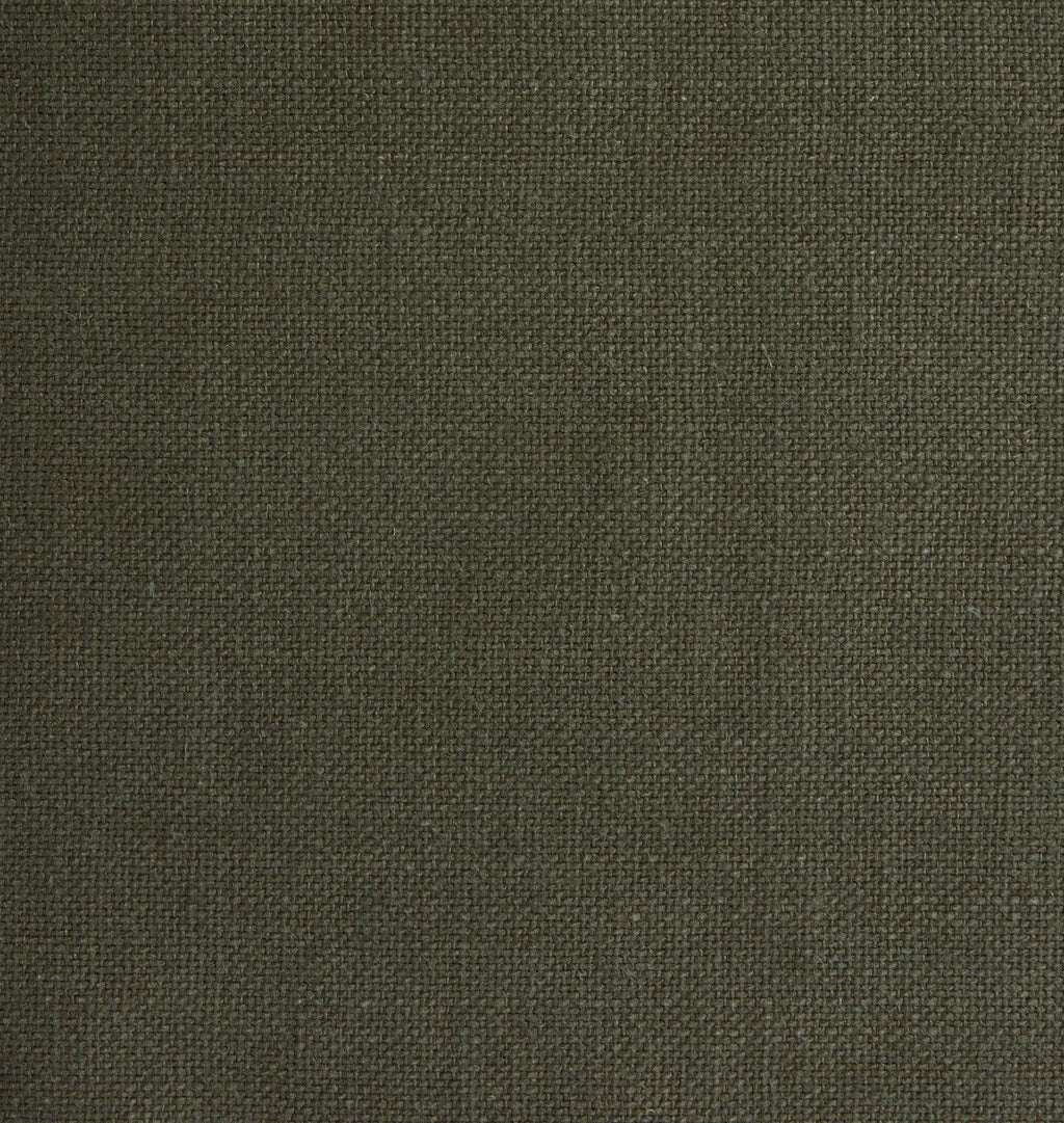 Fern Sample