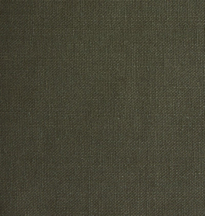 Fern Sample