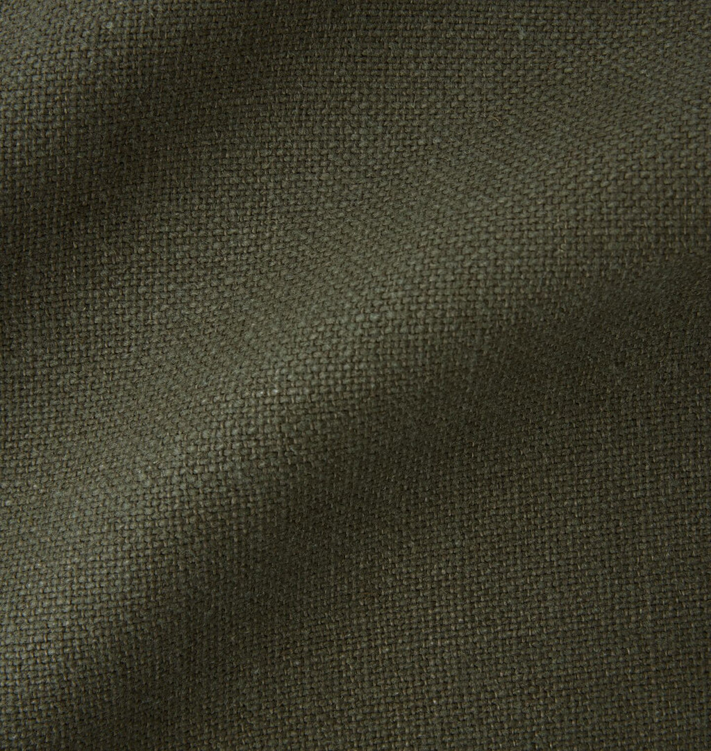 Fern Sample