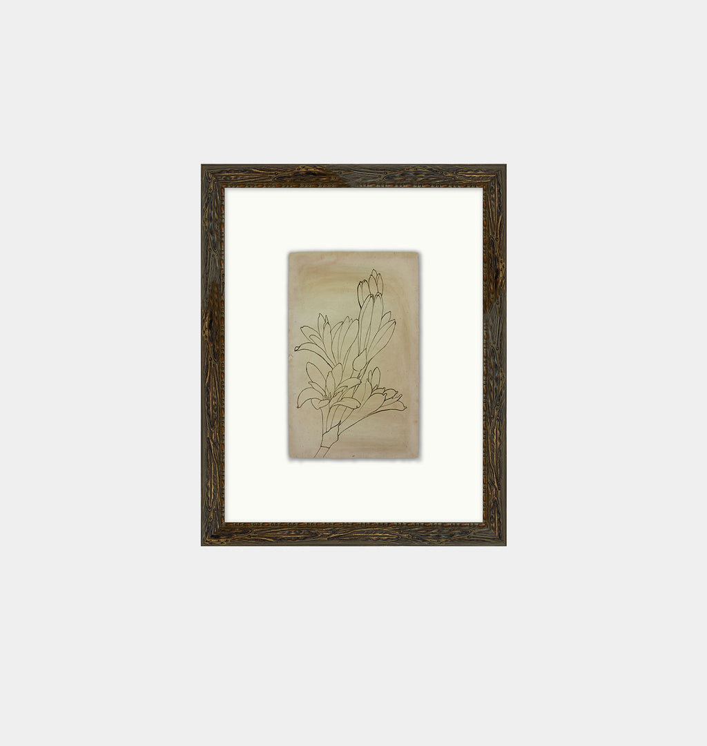 Flower Drawn 2 Framed Print