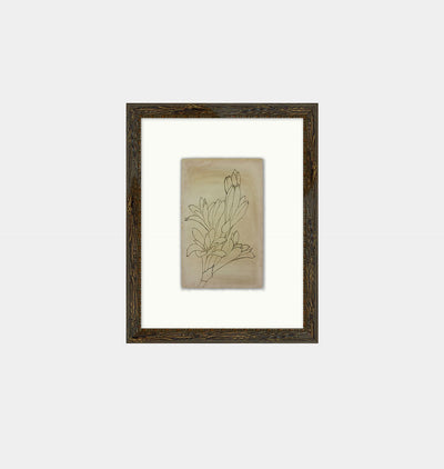 Flower Drawn 2 Framed Print
