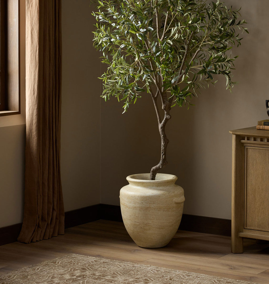 A tall potted olive tree with green leaves and a twisted trunk stands in a large textured cream ceramic pot on a wood floor in a styled room corner with a curtain and cabinet.