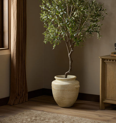 A tall potted olive tree with green leaves and a twisted trunk stands in a large textured cream ceramic pot on a wood floor in a styled room corner with a curtain and cabinet.