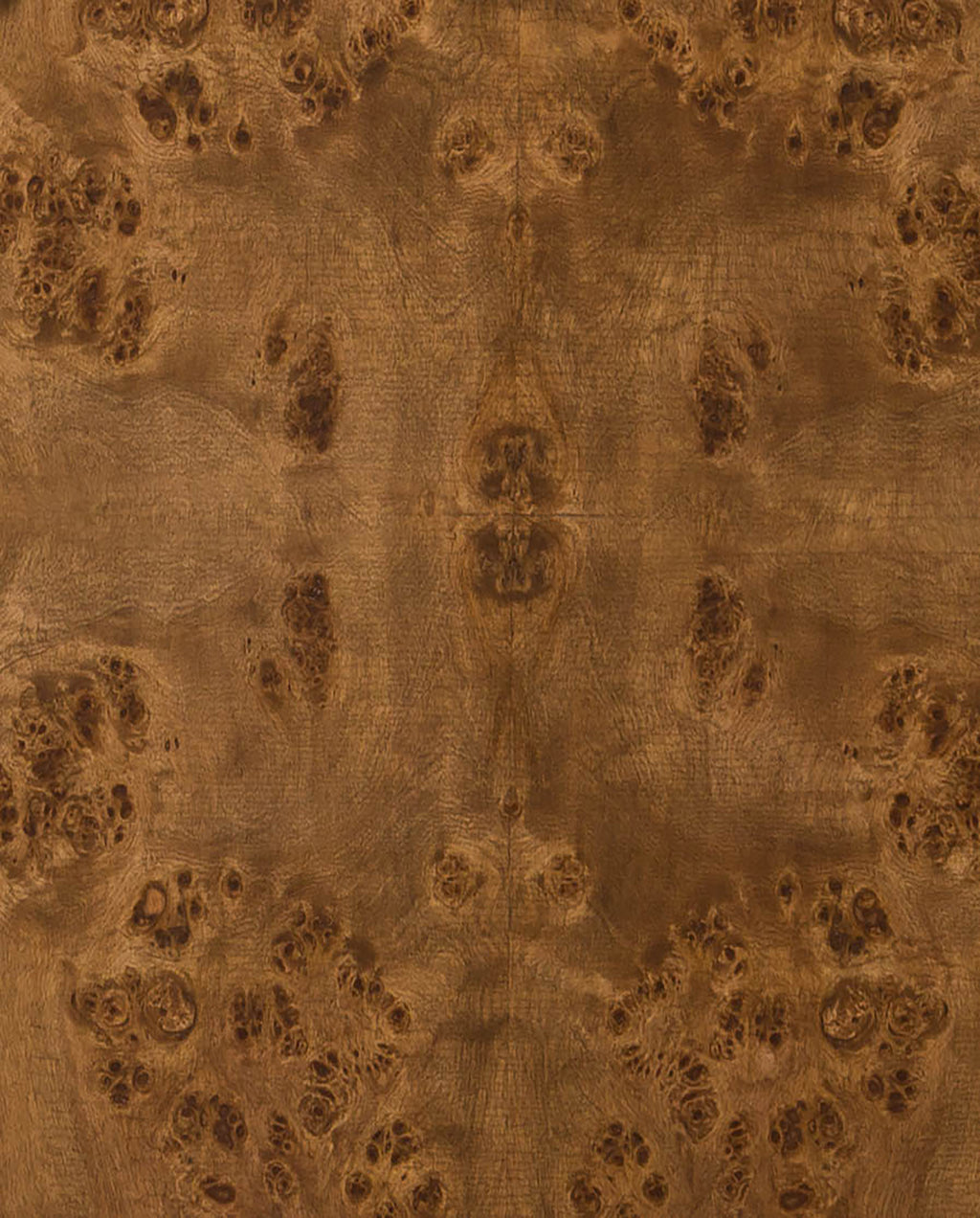 Honey Burl Sample