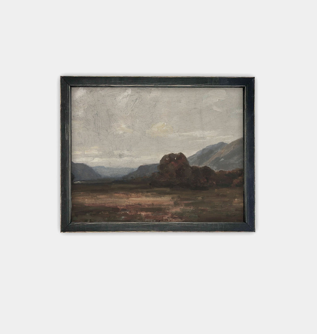 Landscape Framed III