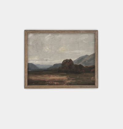 Landscape Framed III