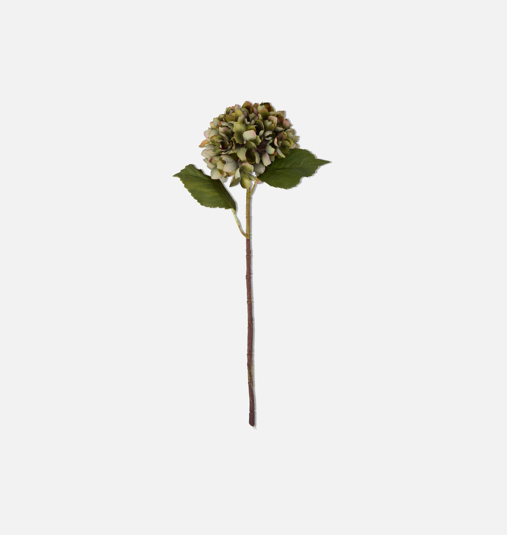 Faux Chloris Hydrangea Stem