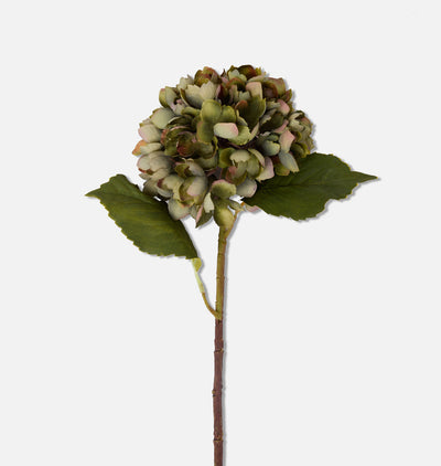 Faux Chloris Hydrangea Stem