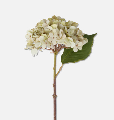 Faux Soft Green Hydrangea Stem