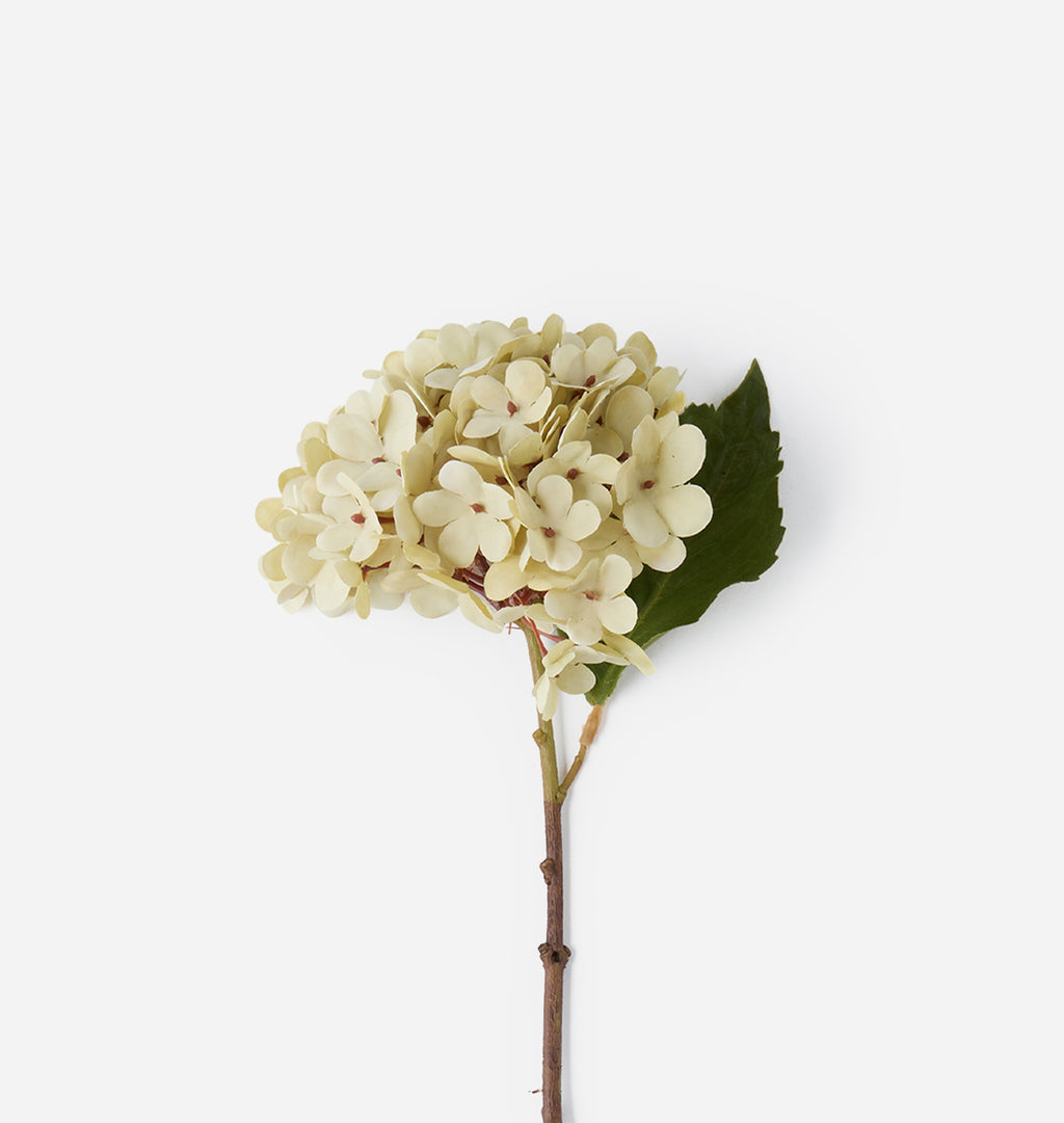 An artificial single-stem hydrangea with pale cream-colored flowers and a green leaf on a brown stem, set against a plain white background.
