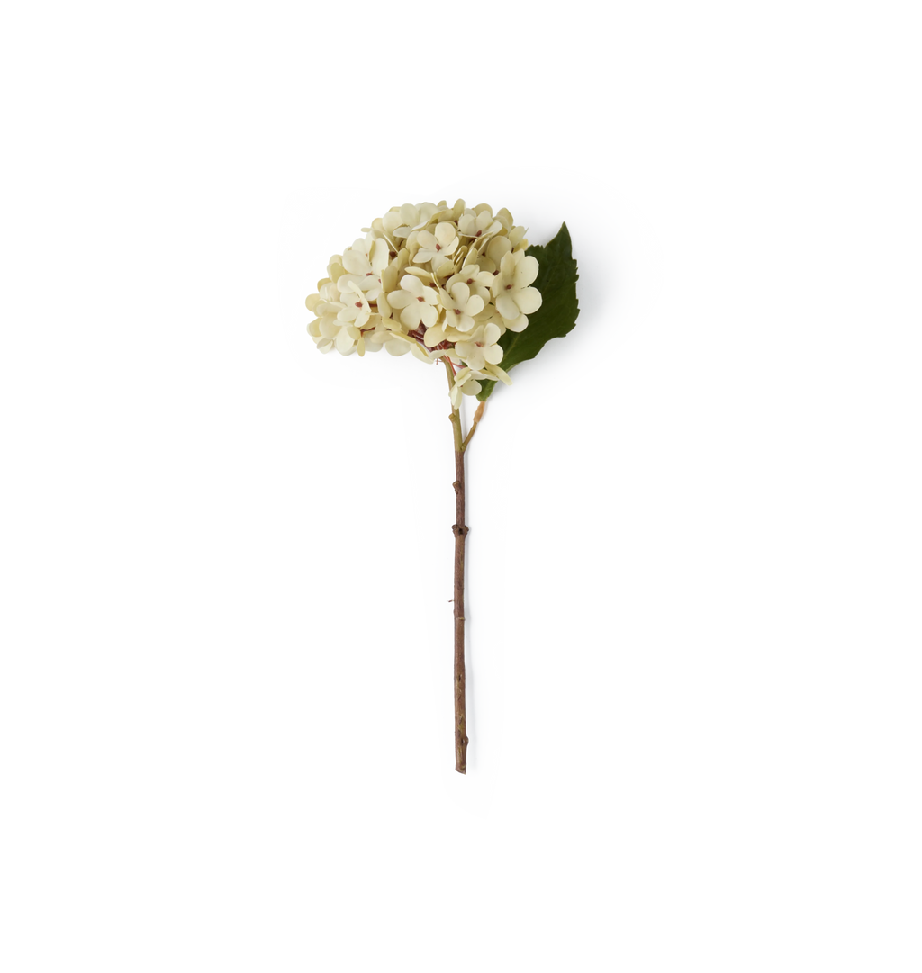 An artificial flower stem featuring a cluster of cream-colored hydrangea blooms, a single green leaf, and a brown twig-style stem, isolated on a solid white background.
