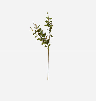 Faux European Beech Stem