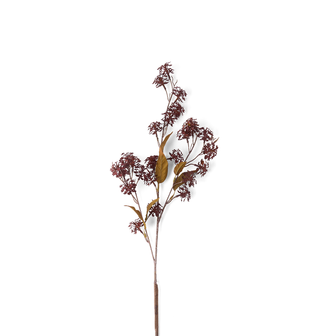 A single dried decorative branch with clusters of small dark reddish-brown flowers and a few muted olive-brown leaves, photographed against a plain white background.