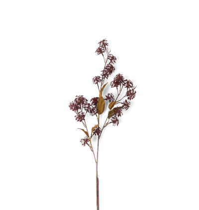 A single dried decorative branch with clusters of small dark reddish-brown flowers and a few muted olive-brown leaves, photographed against a plain white background.