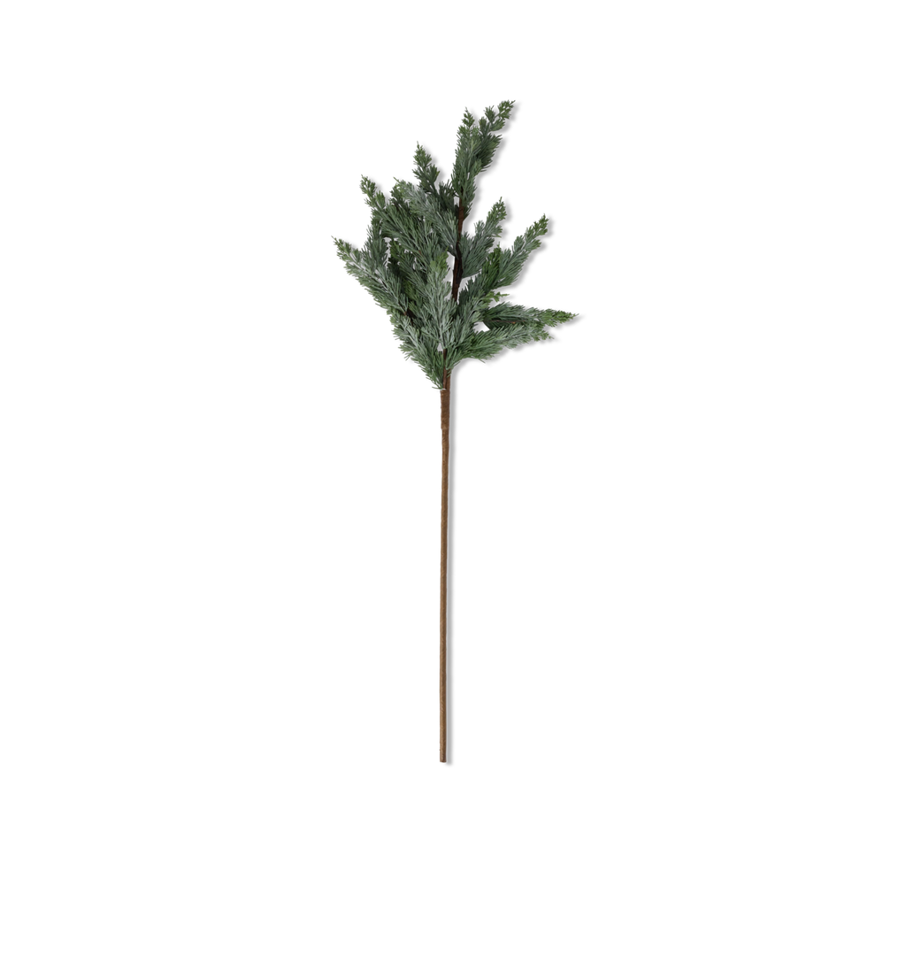 Cedar Branch