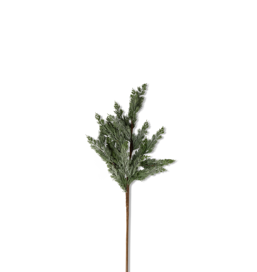 Cedar Branch